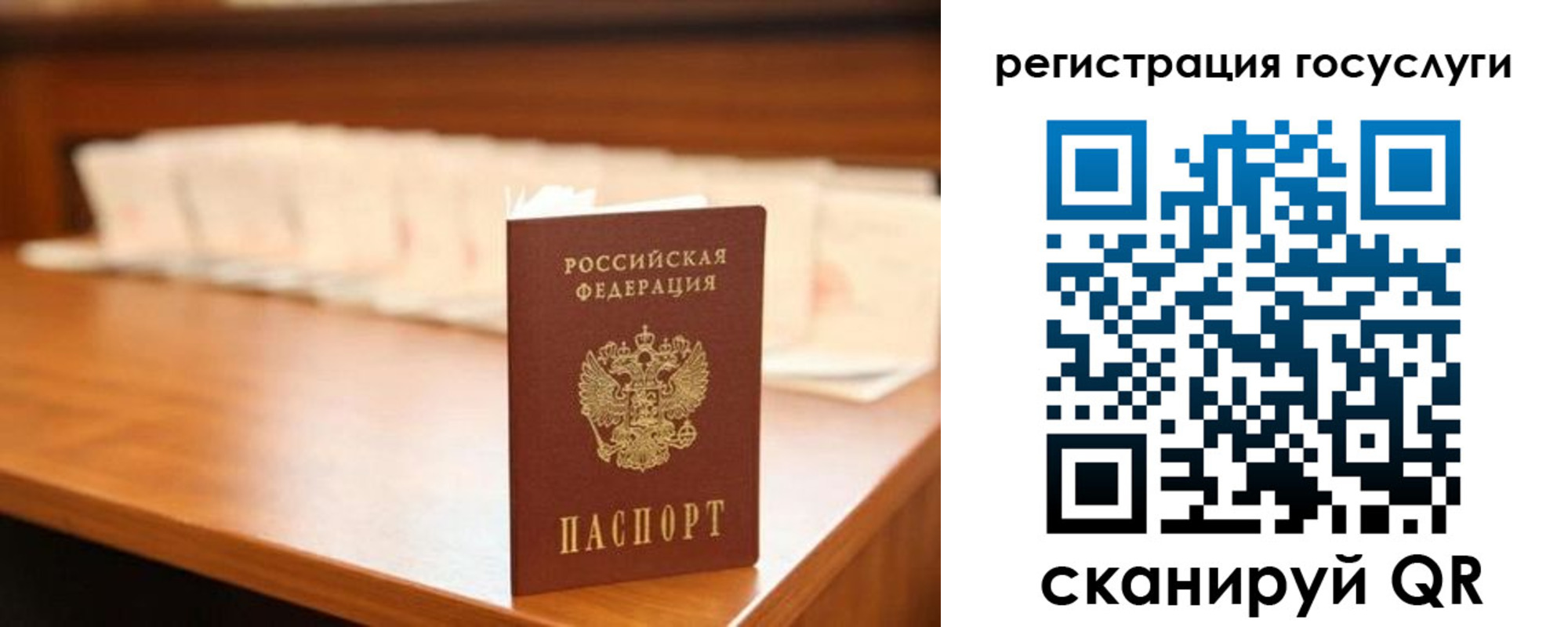 прописка в квартире в Сертолово