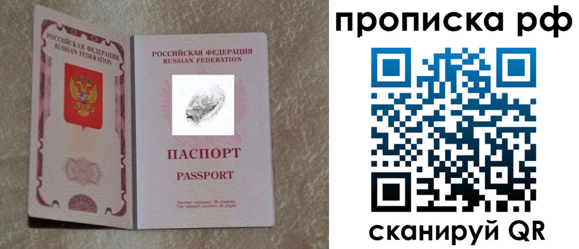 прописка поиск в Сертолово
